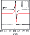 Fig. 6