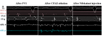 Figure 2B.