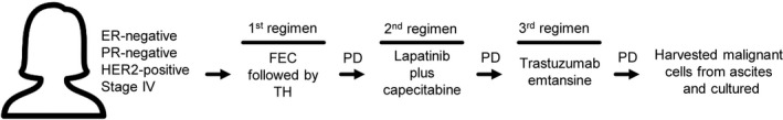 FIGURE 1