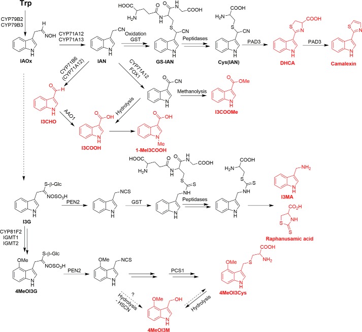 Figure 1.