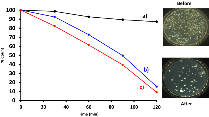 Fig. 8