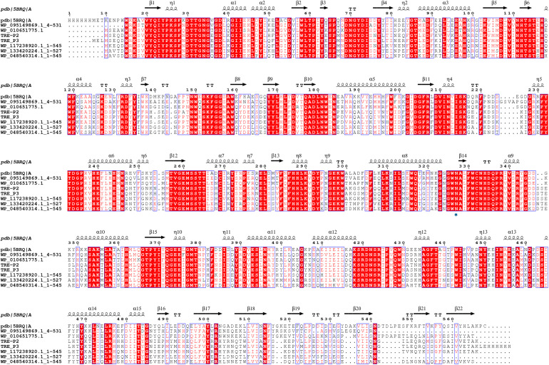 FIGURE 3