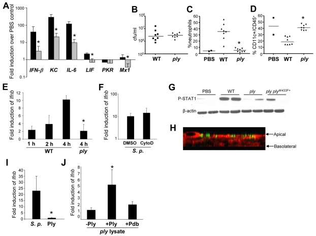 FIG 2 