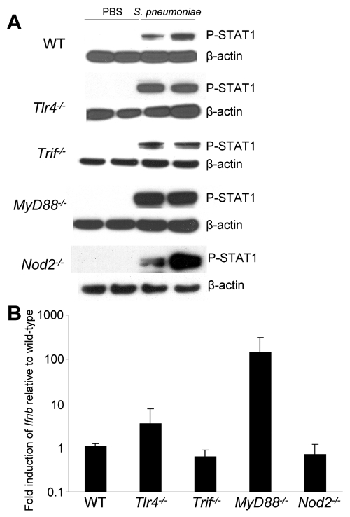 FIG 3 