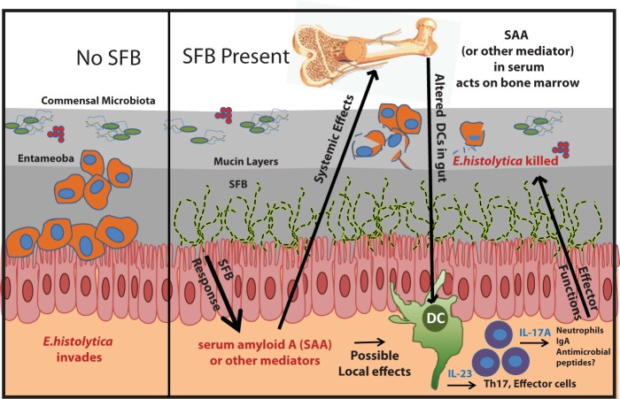 FIG 6 