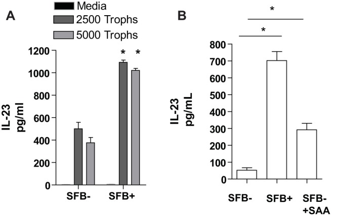 FIG 3 