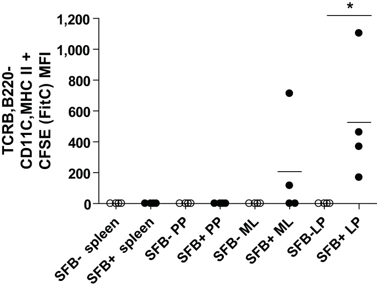 FIG 4 