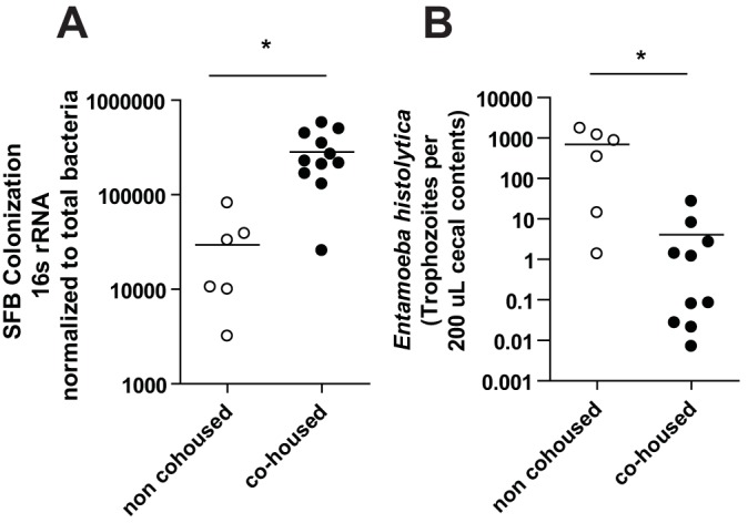 FIG 1 