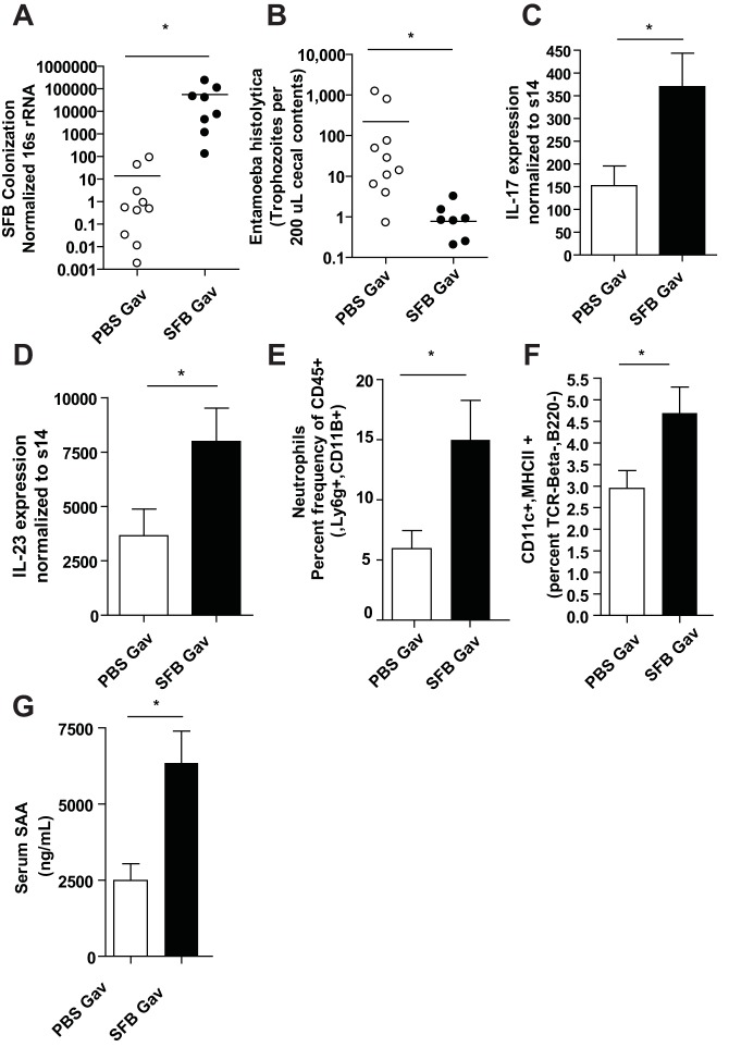 FIG 2 