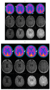 Fig. (3)