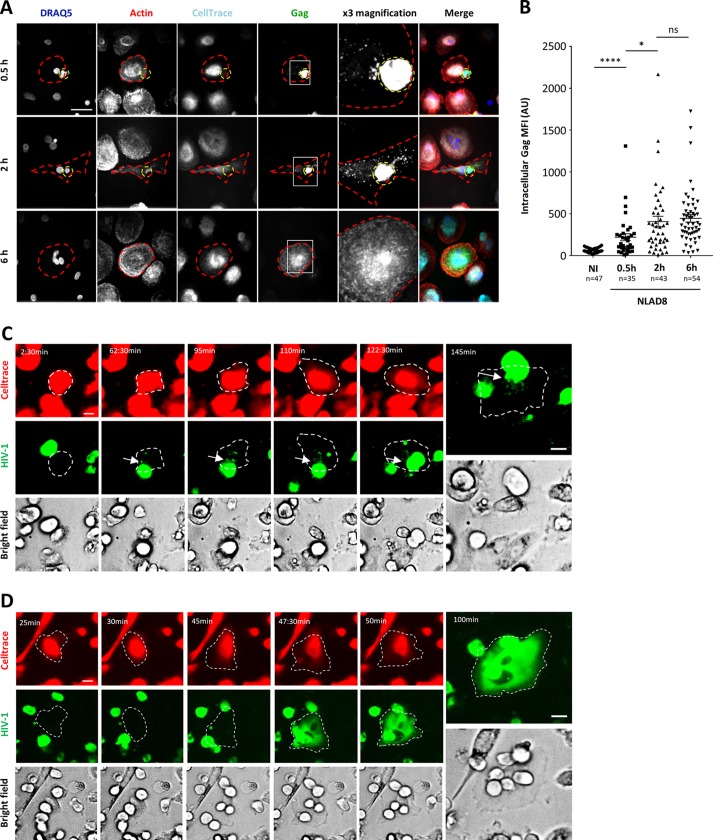 FIG 3