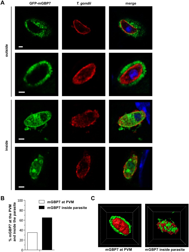 FIG 5