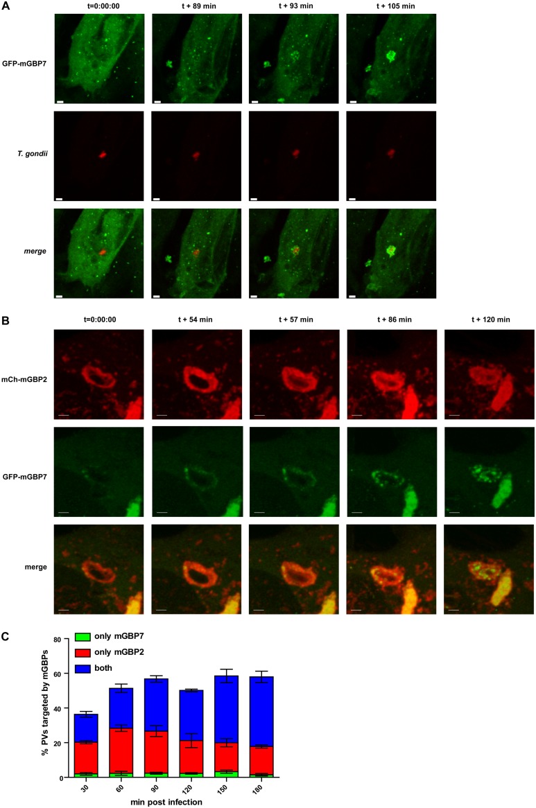 FIG 4