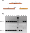Fig. 2.