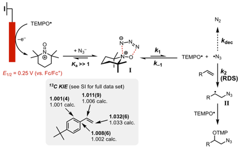 Scheme 8.