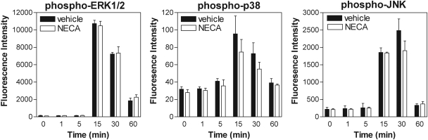 Fig. 10.