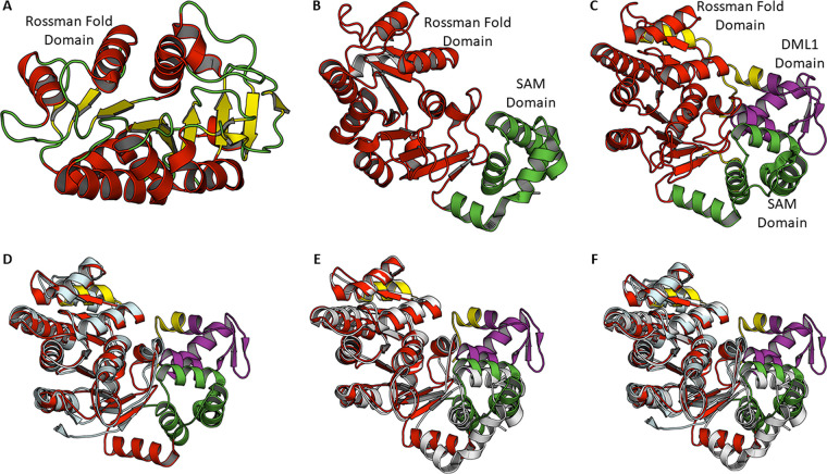 FIG 3