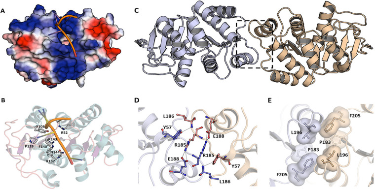 FIG 4