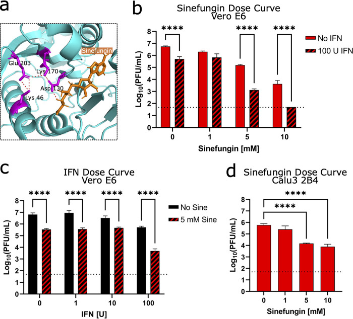 FIG 6