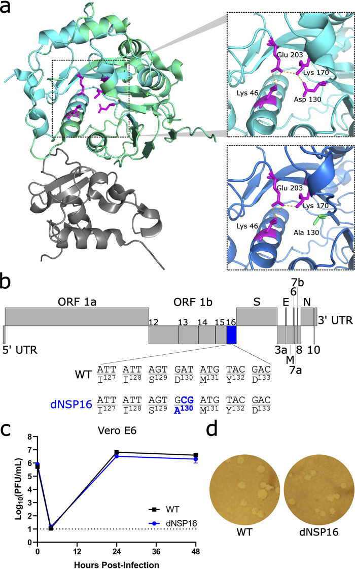 FIG 1