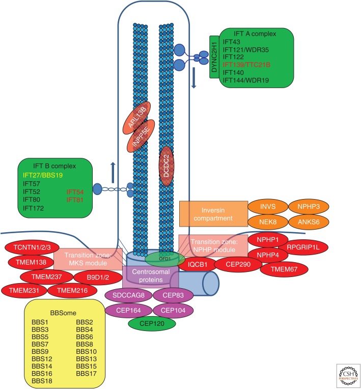 Figure 2.