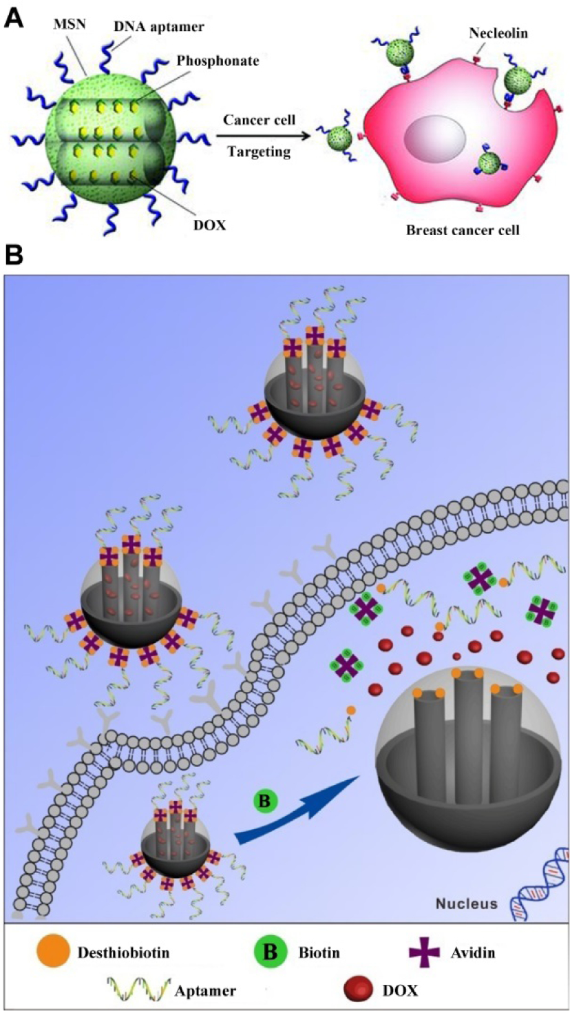 Figure 4.