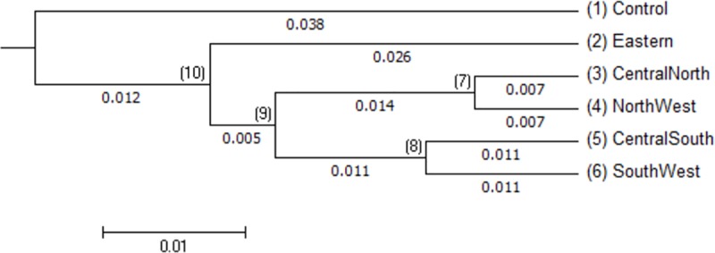 Fig 2