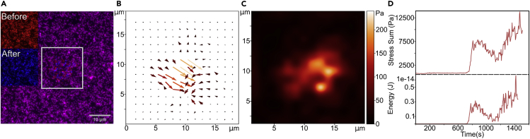 Figure 3