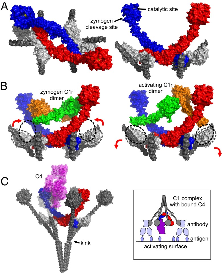 Fig. 4.