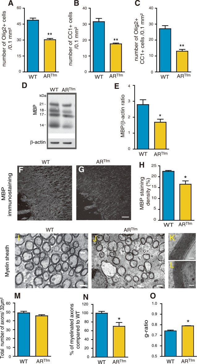 Fig 8