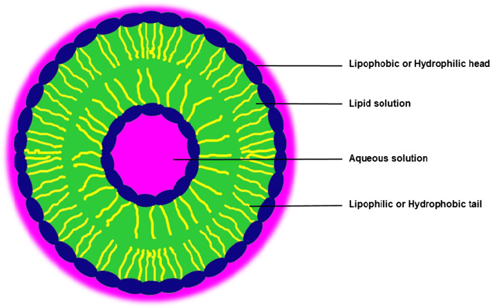 Fig. 1