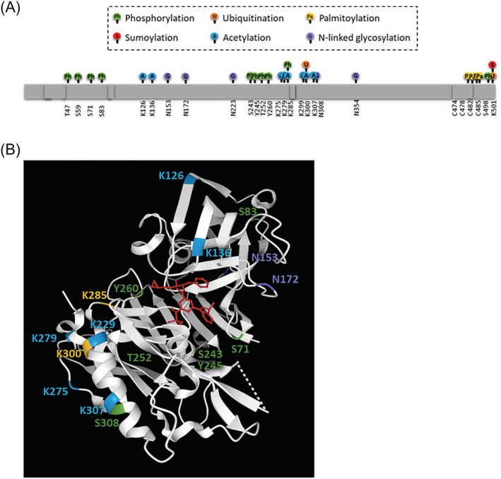 FIGURE 3