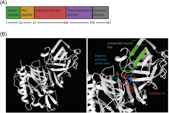 FIGURE 1