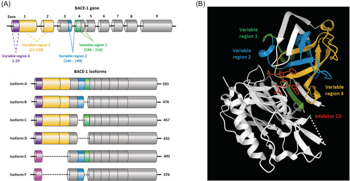 FIGURE 2