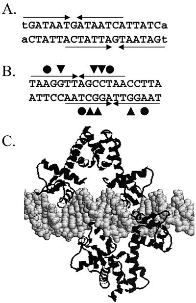 FIG. 5.