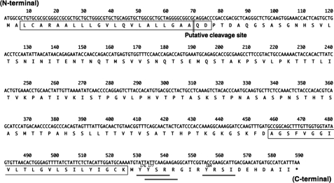 FIGURE 1.