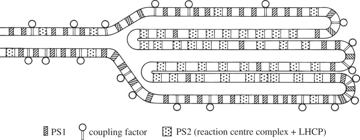 Figure 3.