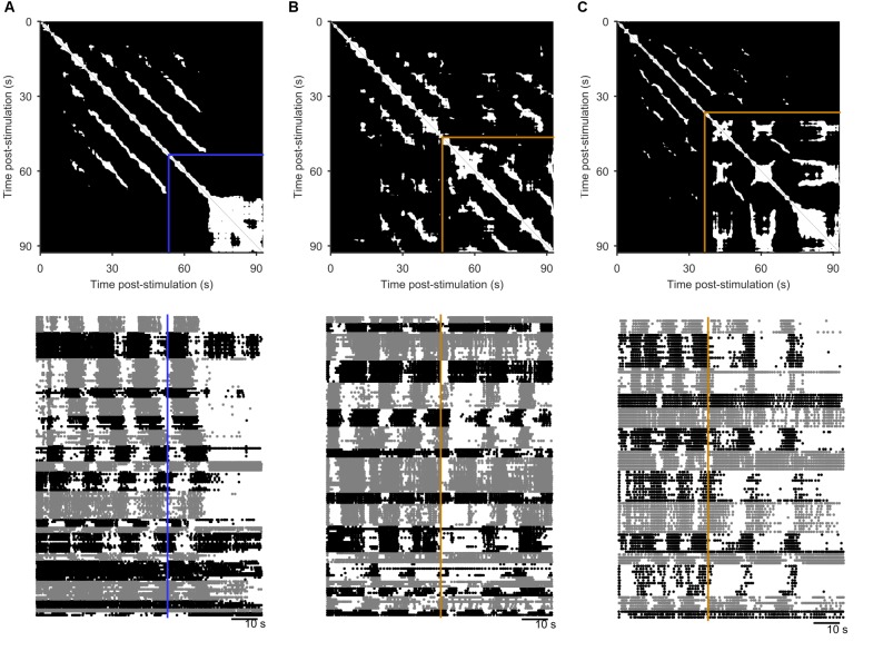 Figure 3—figure supplement 2.