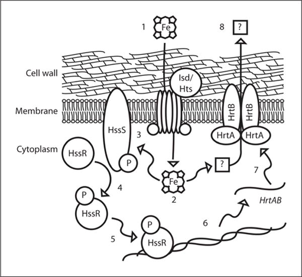 Fig. 1