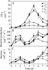 FIG. 2.
