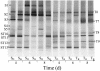 FIG. 5.