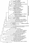 FIG. 6.