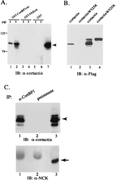 FIG. 5