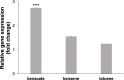 Fig 7