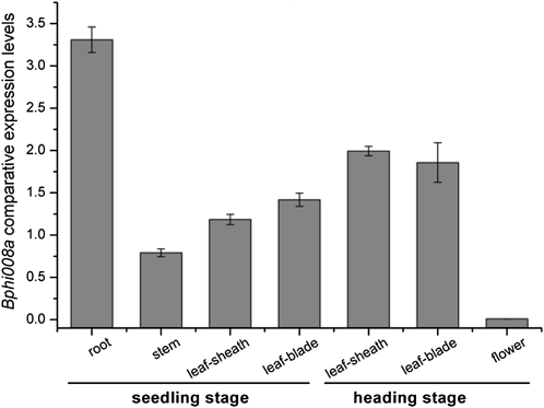 Figure 4.