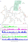 Extended Data Figure 4