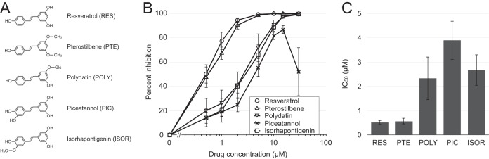 FIG 2