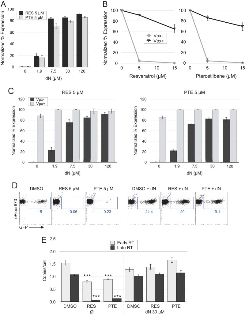 FIG 6