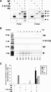 FIG. 2.