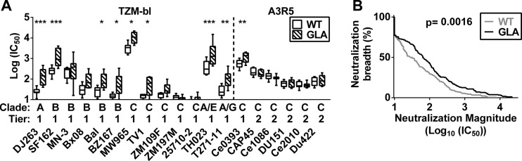 Fig 7